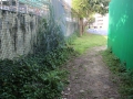 IMG_2834.jpg