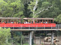 LINE_ALBUM_20221125五年級六福村戶外教育_230422_51