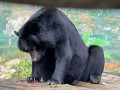 LINE_ALBUM_20221125五年級六福村戶外教育_230422_53