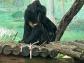 LINE_ALBUM_20221125五年級六福村戶外教育_230422_56
