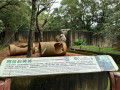 LINE_ALBUM_20221125五年級六福村戶外教育_230422_63