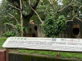 LINE_ALBUM_20221125五年級六福村戶外教育_230422_64