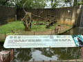 LINE_ALBUM_20221125五年級六福村戶外教育_230422_66