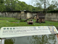 LINE_ALBUM_20221125五年級六福村戶外教育_230422_69