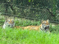 LINE_ALBUM_20221125五年級六福村戶外教育_230422_74