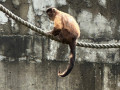 LINE_ALBUM_20221125五年級六福村戶外教育_230422_76