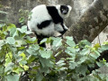 LINE_ALBUM_20221125五年級六福村戶外教育_230422_77