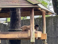 LINE_ALBUM_20221125五年級六福村戶外教育_230422_78