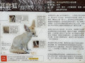 LINE_ALBUM_20221118四年級埔心牧場戶外教育_230422_14