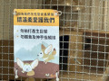LINE_ALBUM_20221118四年級埔心牧場戶外教育_230422_16