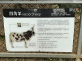 LINE_ALBUM_20221118四年級埔心牧場戶外教育_230422_29