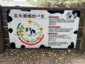LINE_ALBUM_20221118四年級埔心牧場戶外教育_230422_39