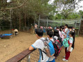 LINE_ALBUM_20221118四年級埔心牧場戶外教育_230422_57