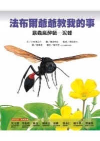 推薦圖書-昆蟲麻醉師-泥蜂